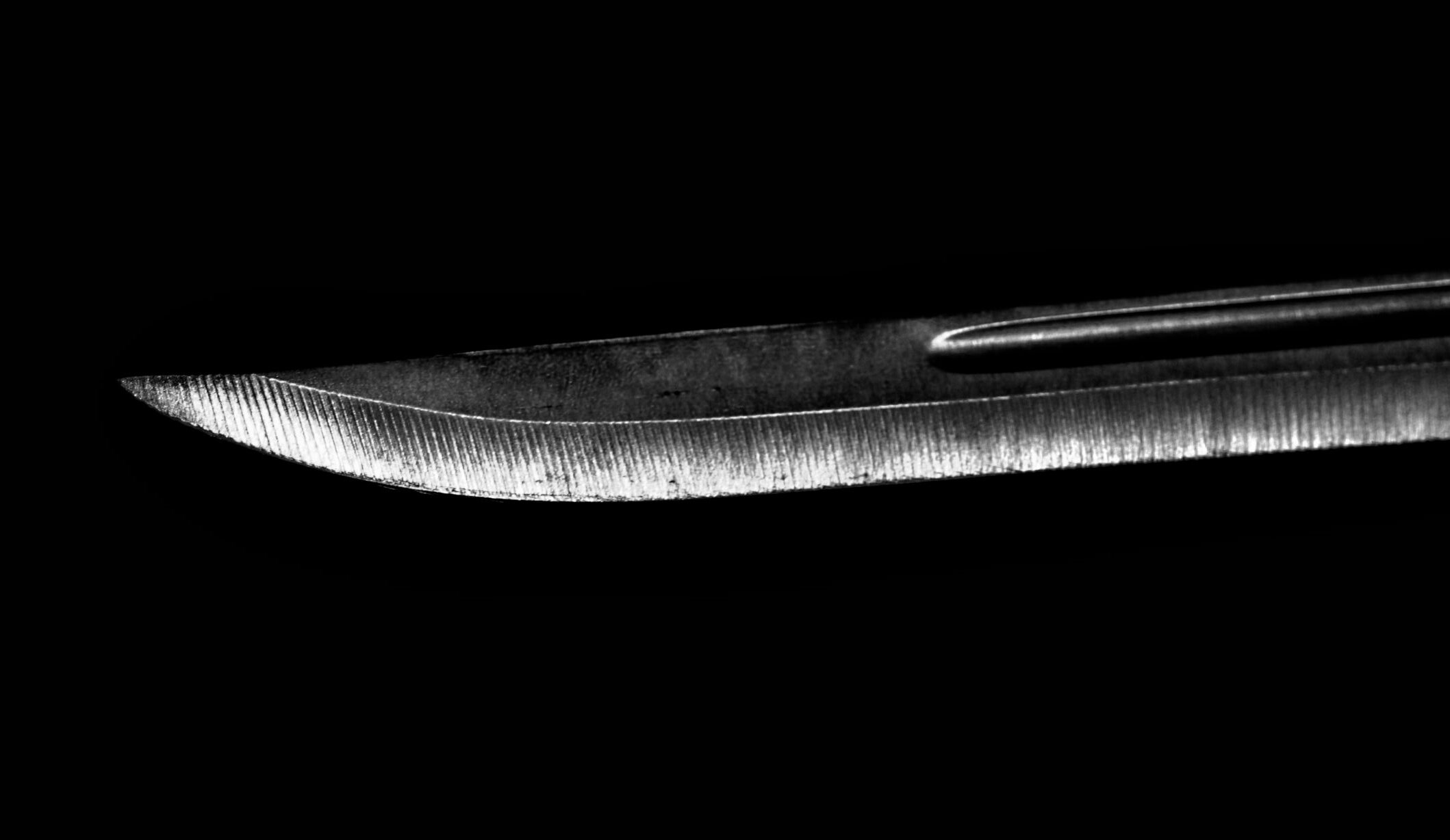 Knife Polishing for Beginners: Everything You Need to Know