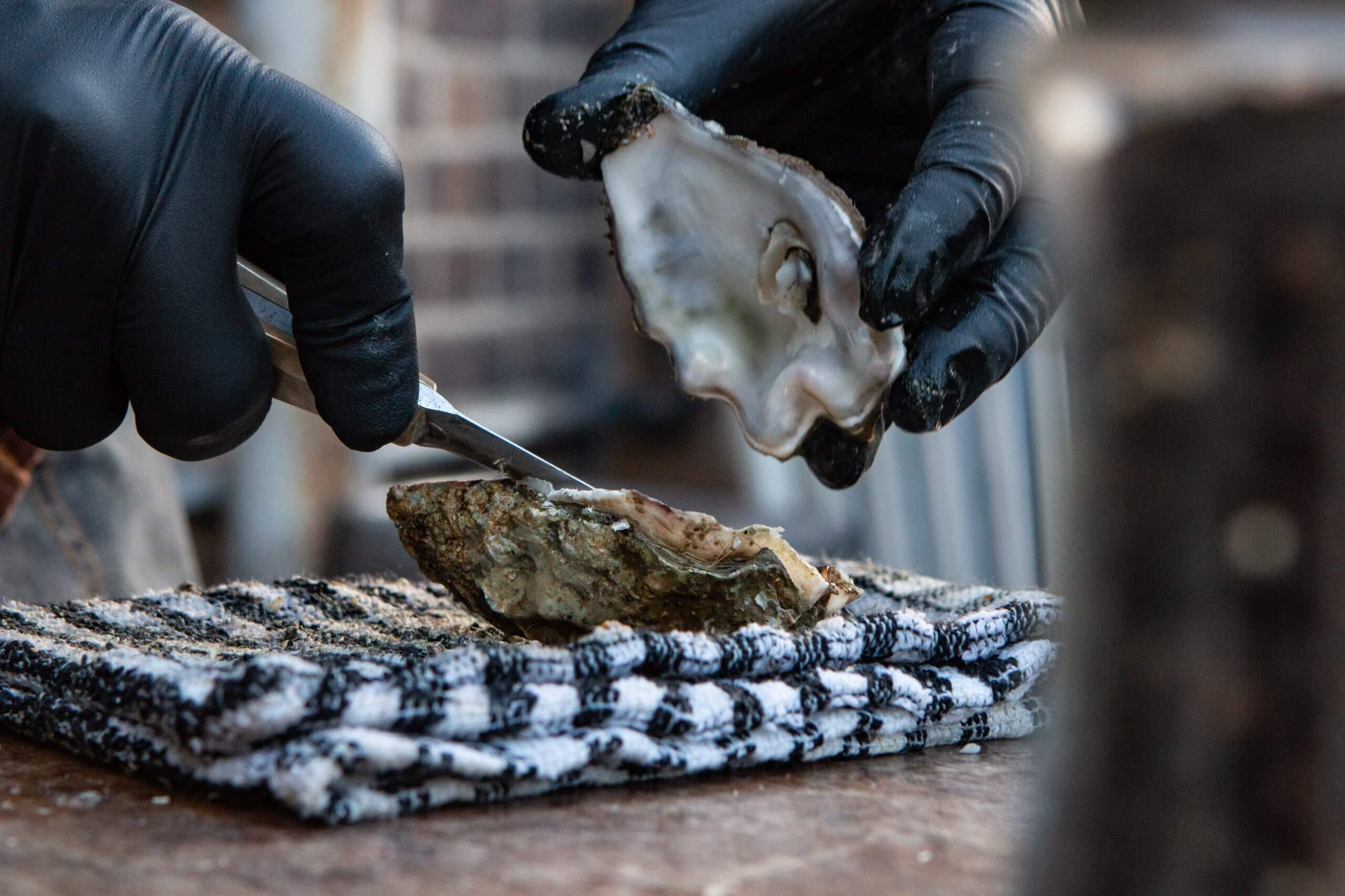 The Best Oyster Shucking Knife for Every Seafood Lover