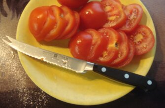 tomato knife have two points